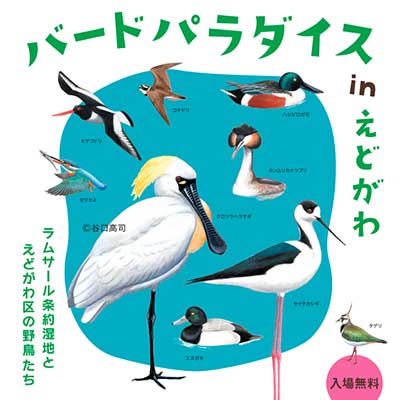 第51回企画展示「バードパラダイスinえどがわ」
