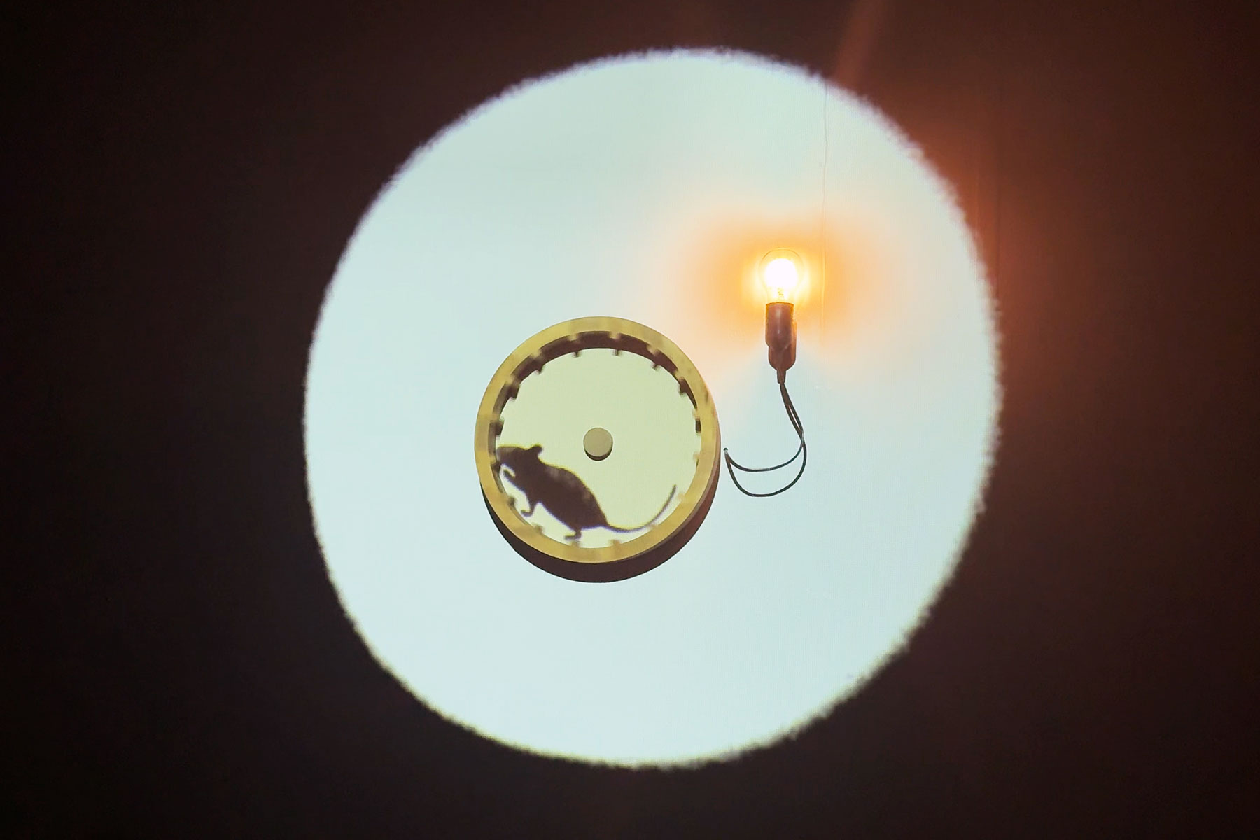 写真: 武豊町ゆめたろうプラザ 夜な夜なを照らせ