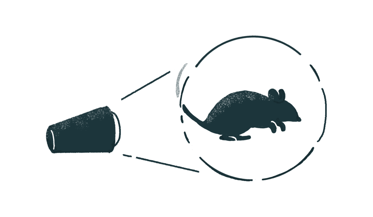 夜な夜なを照らせ イラスト